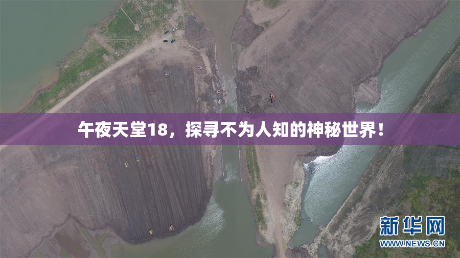 午夜天堂18，探寻不为人知的神秘世界！
