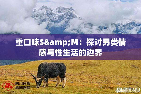 重口味S&M：探讨另类情感与性生活的边界