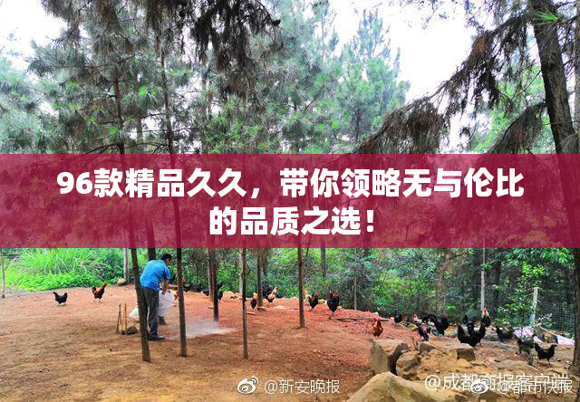 96款精品久久，带你领略无与伦比的品质之选！