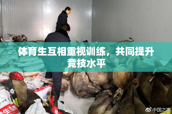 体育生互相重视训练，共同提升竞技水平