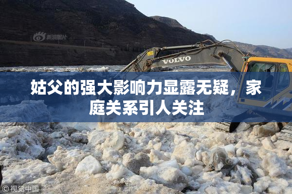 姑父的强大影响力显露无疑，家庭关系引人关注