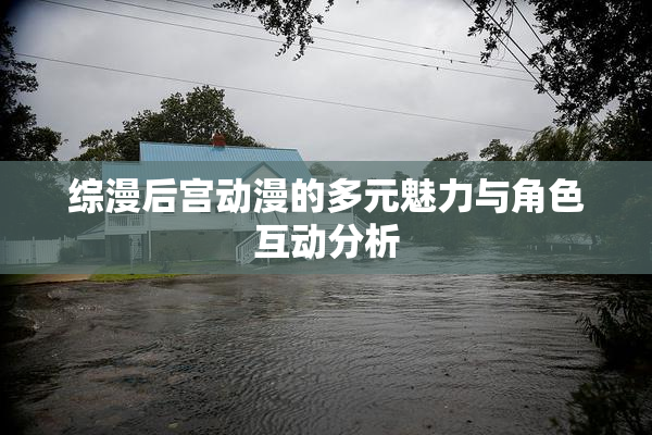 综漫后宫动漫的多元魅力与角色互动分析