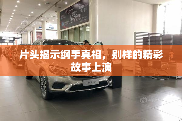 片头揭示纲手真相，别样的精彩故事上演