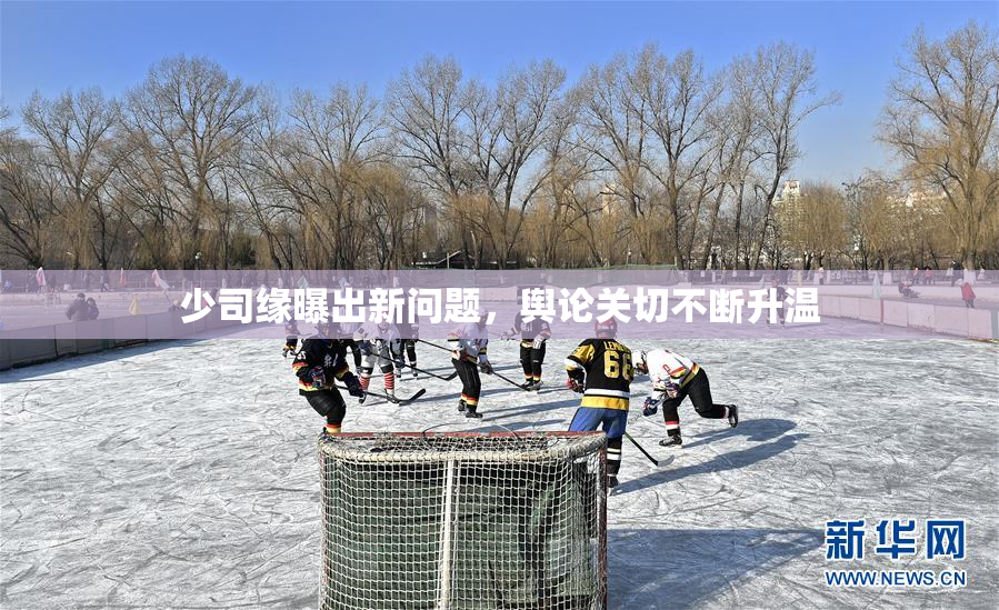 少司缘曝出新问题，舆论关切不断升温