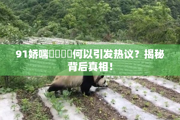 91娇喘❌‌❌‌何以引发热议？揭秘背后真相！