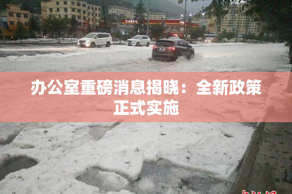 办公室重磅消息揭晓：全新政策正式实施