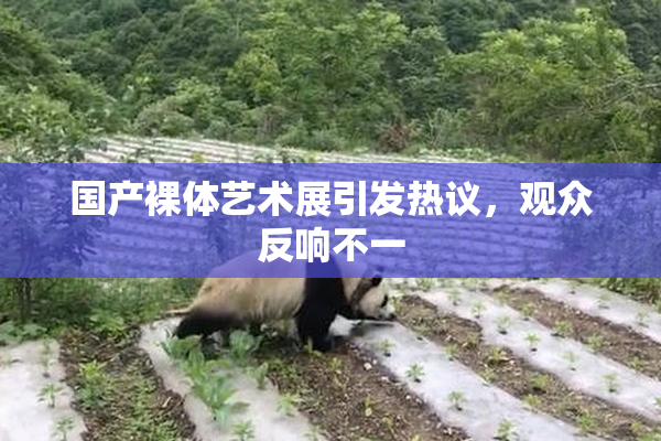 国产裸体艺术展引发热议，观众反响不一