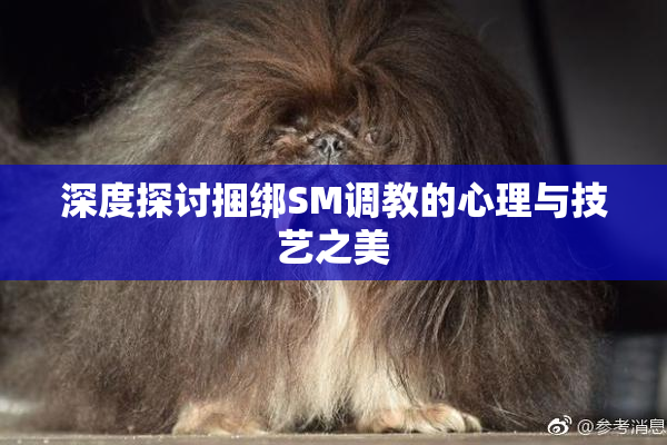 深度探讨捆绑SM调教的心理与技艺之美