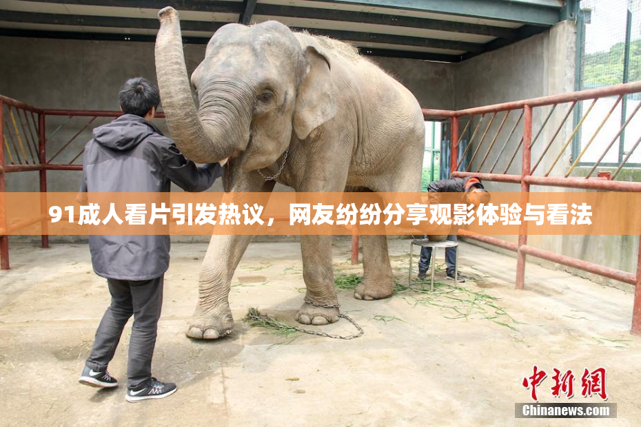 91成人看片引发热议，网友纷纷分享观影体验与看法