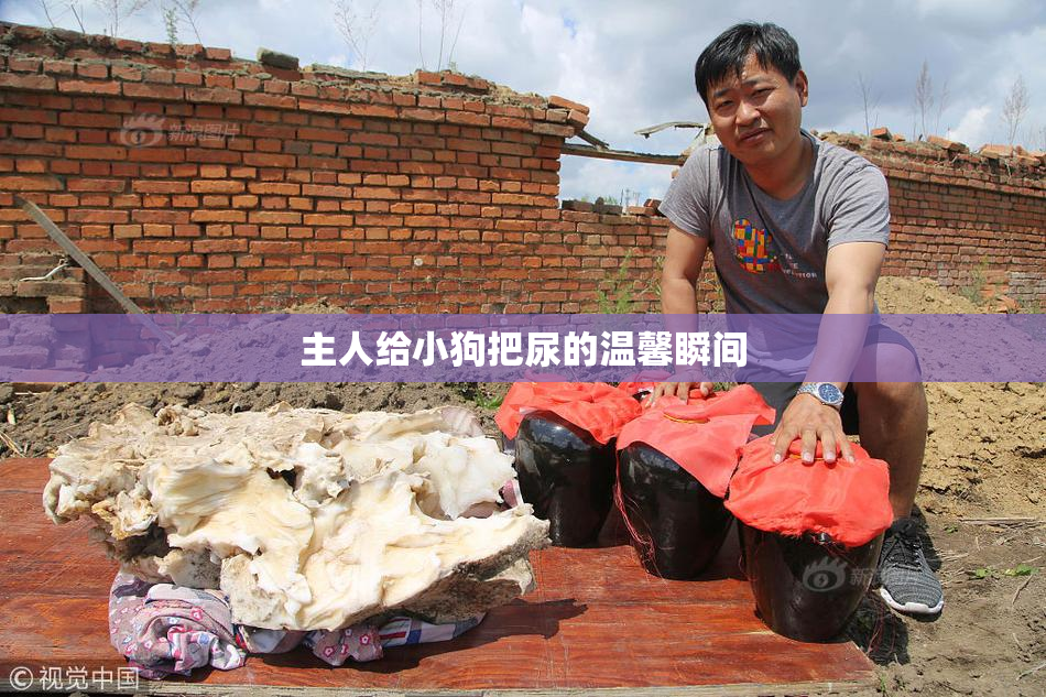主人给小狗把尿的温馨瞬间