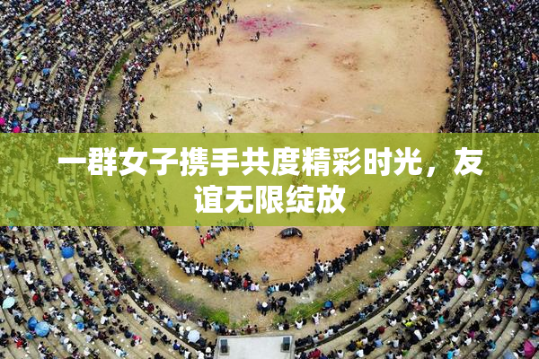 一群女子携手共度精彩时光，友谊无限绽放