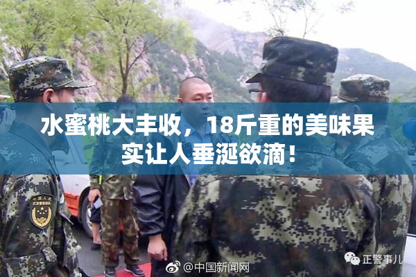 水蜜桃大丰收，18斤重的美味果实让人垂涎欲滴！
