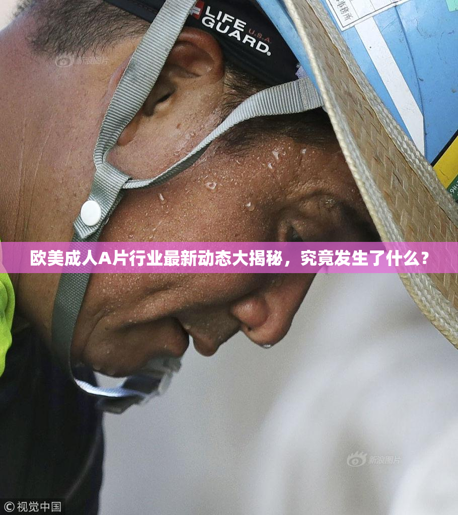 欧美成人A片行业最新动态大揭秘，究竟发生了什么？