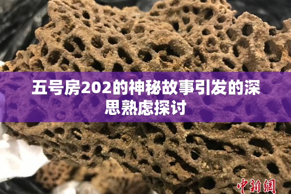 五号房202的神秘故事引发的深思熟虑探讨