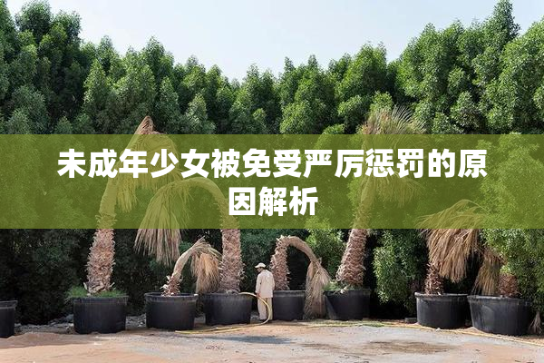 未成年少女被免受严厉惩罚的原因解析