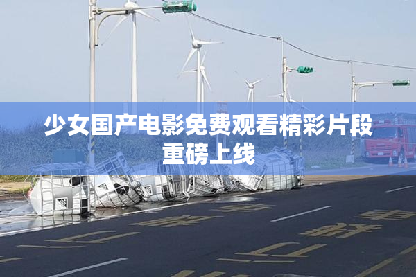 少女国产电影免费观看精彩片段重磅上线