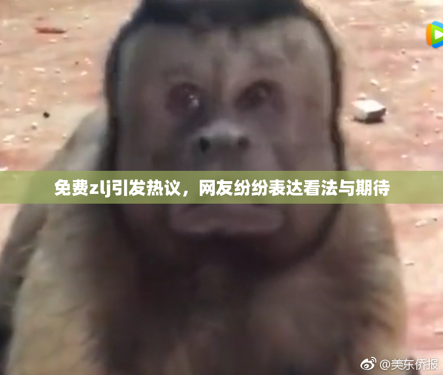 免费zlj引发热议，网友纷纷表达看法与期待