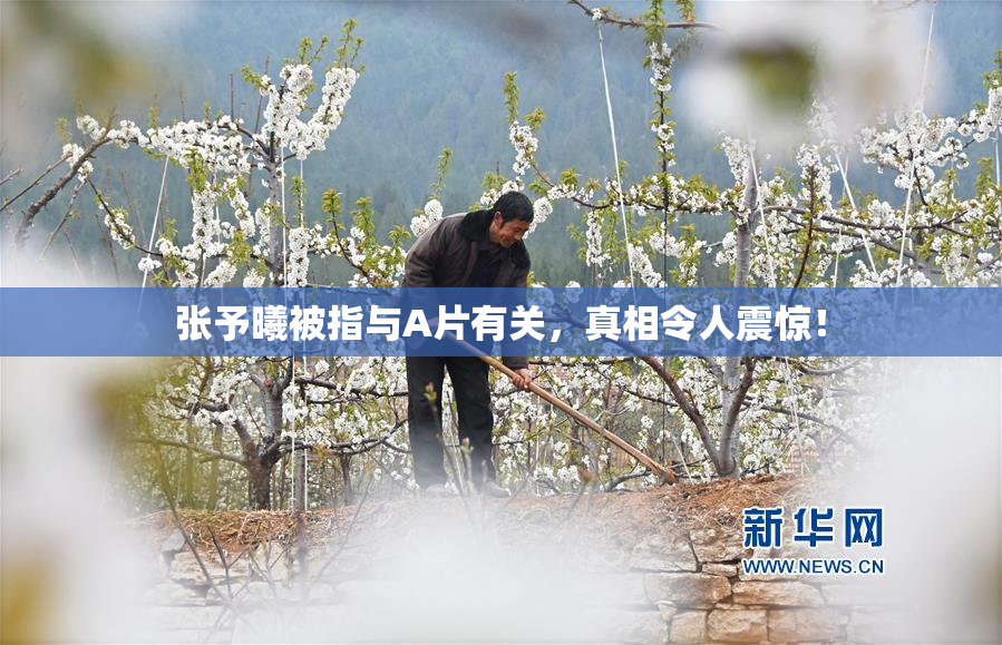 张予曦被指与A片有关，真相令人震惊！