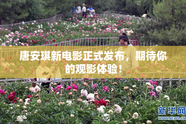 唐安琪新电影正式发布，期待你的观影体验！