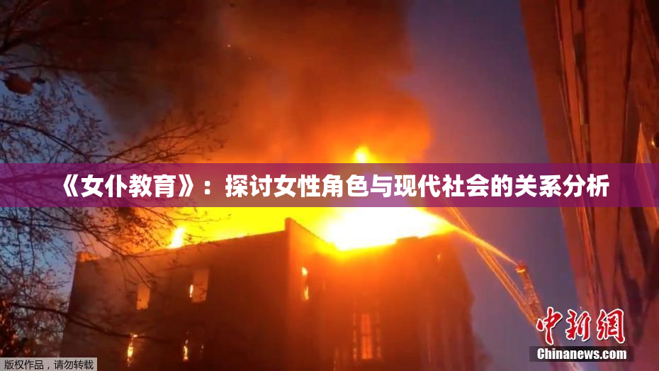 《女仆教育》：探讨女性角色与现代社会的关系分析