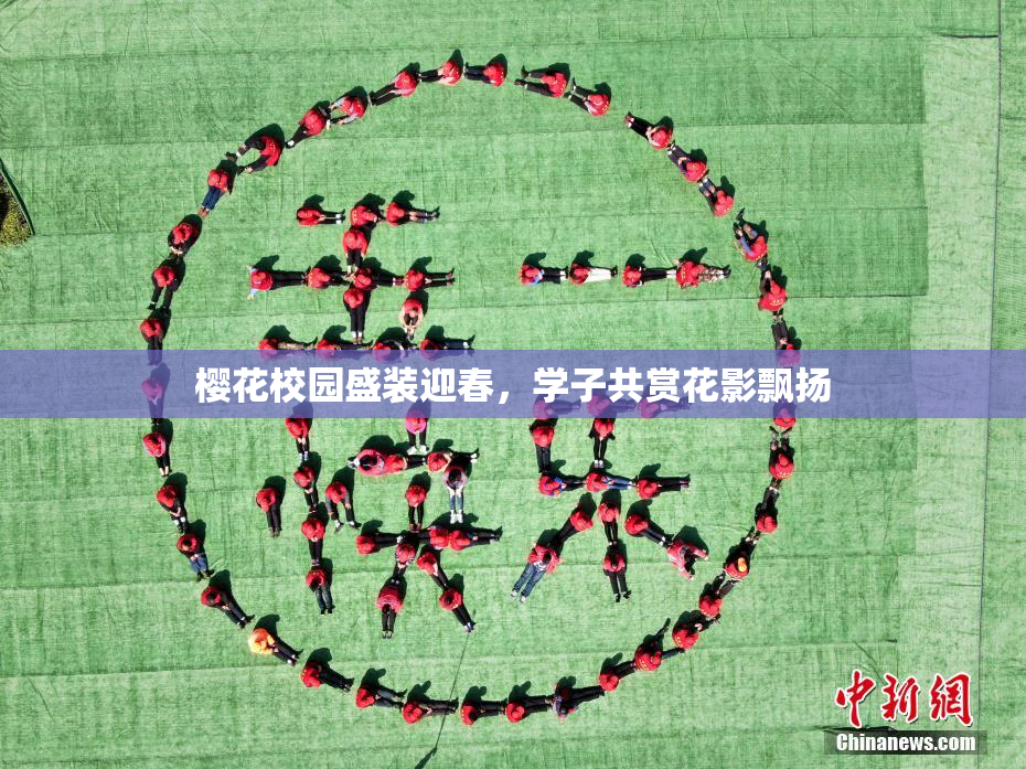 樱花校园盛装迎春，学子共赏花影飘扬