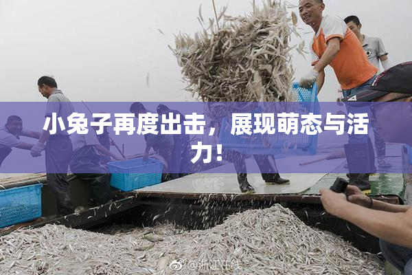 小兔子再度出击，展现萌态与活力！