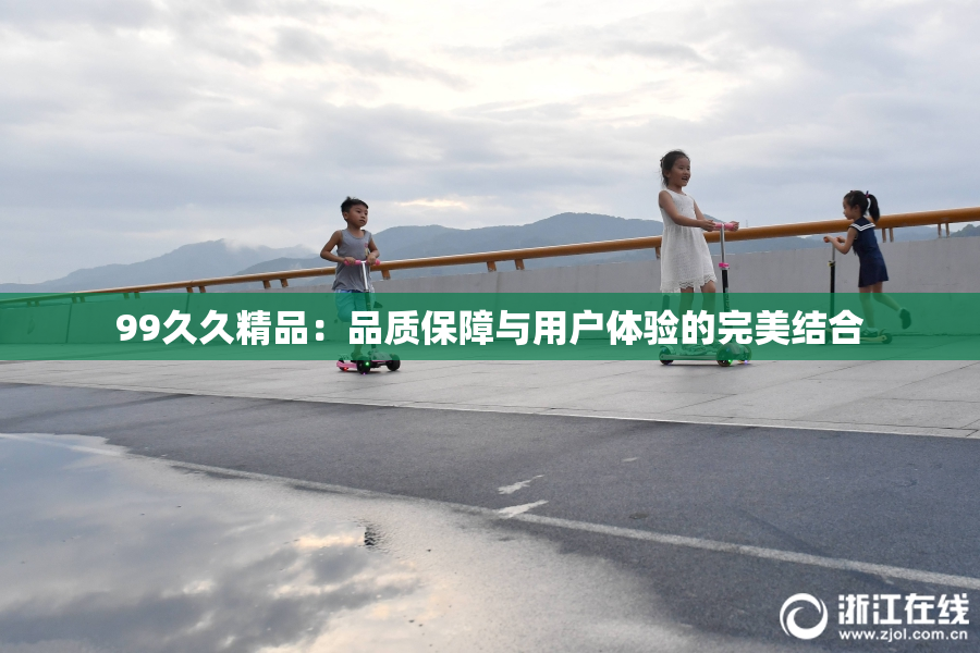 99久久精品：品质保障与用户体验的完美结合