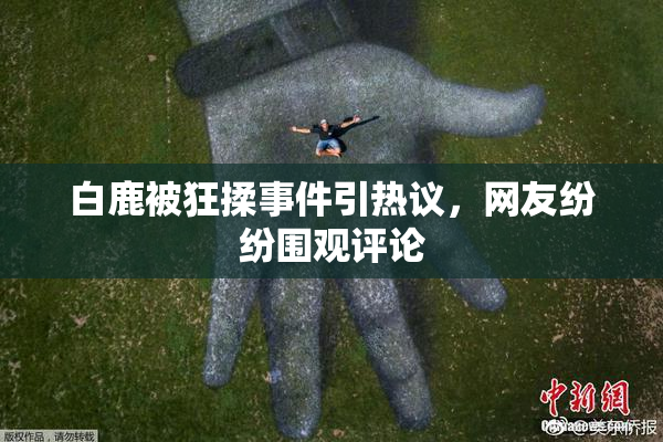 白鹿被狂揉事件引热议，网友纷纷围观评论