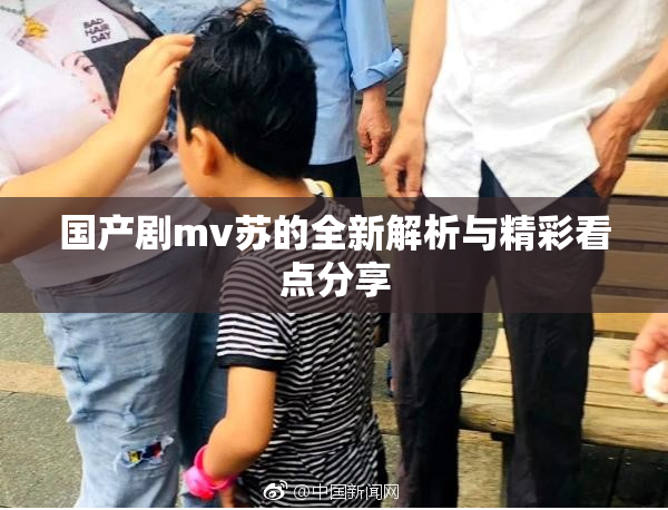 国产剧mv苏的全新解析与精彩看点分享