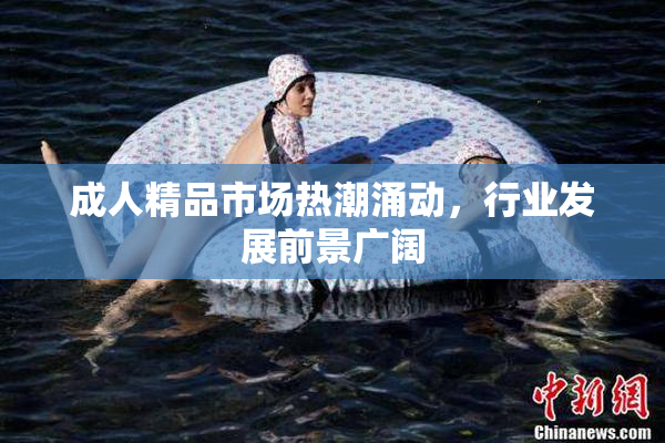 成人精品市场热潮涌动，行业发展前景广阔