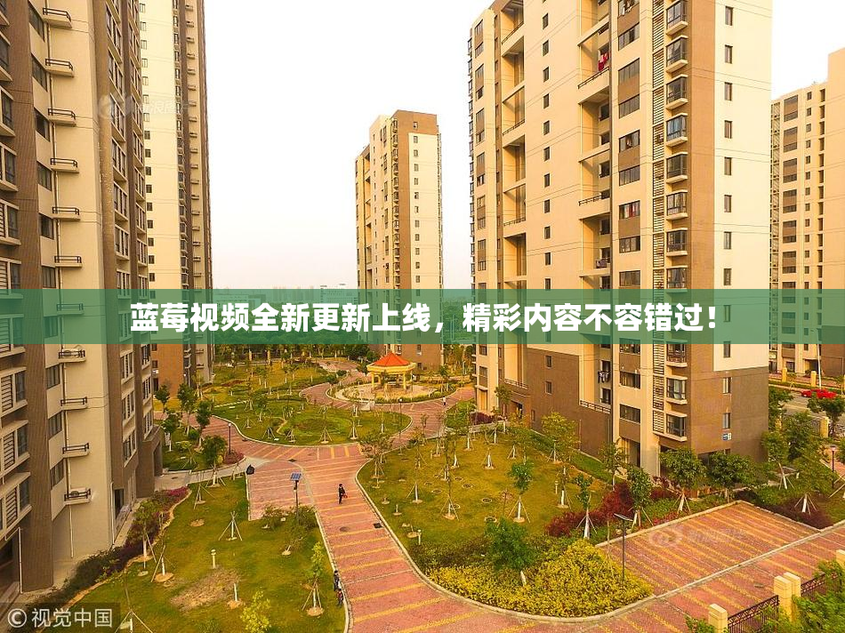蓝莓视频全新更新上线，精彩内容不容错过！