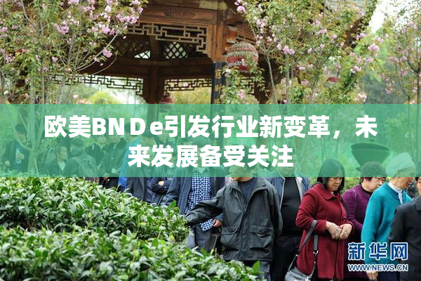欧美BNＤe引发行业新变革，未来发展备受关注