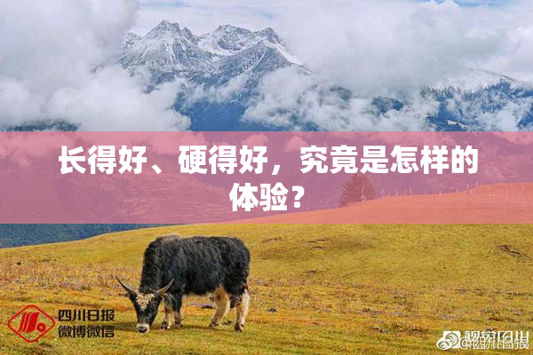 长得好、硬得好，究竟是怎样的体验？