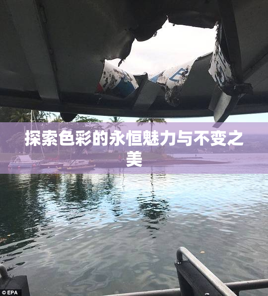 探索色彩的永恒魅力与不变之美