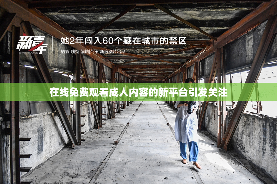 在线免费观看成人内容的新平台引发关注