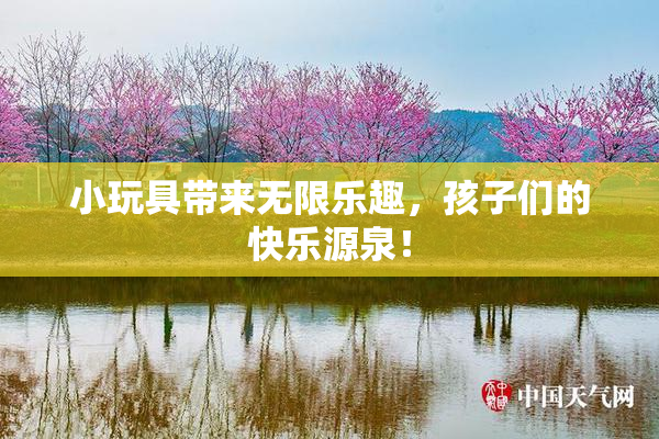 小玩具带来无限乐趣，孩子们的快乐源泉！