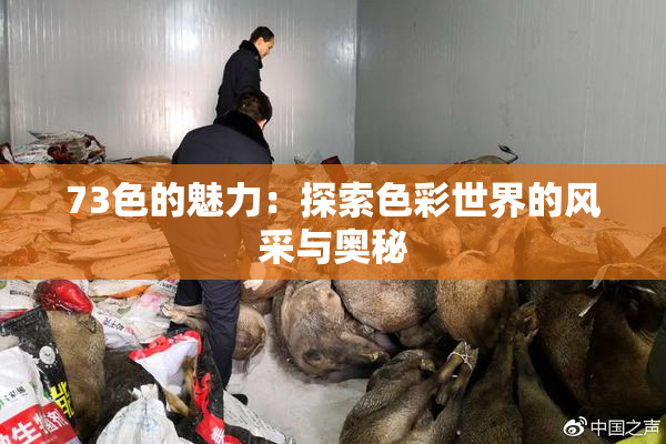 73色的魅力：探索色彩世界的风采与奥秘
