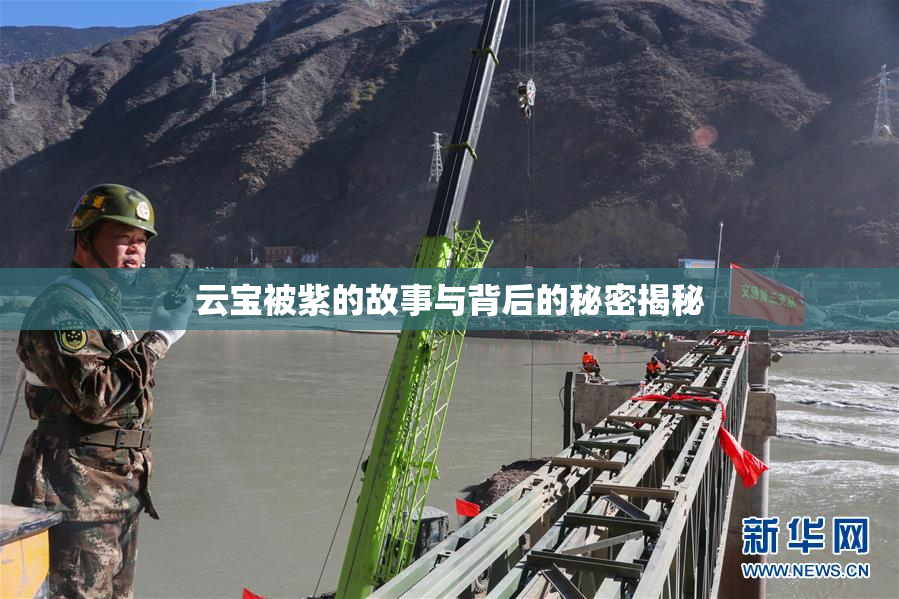 云宝被紫的故事与背后的秘密揭秘