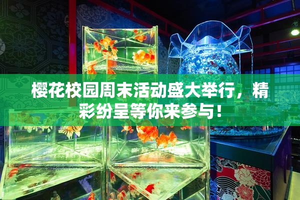 樱花校园周末活动盛大举行，精彩纷呈等你来参与！