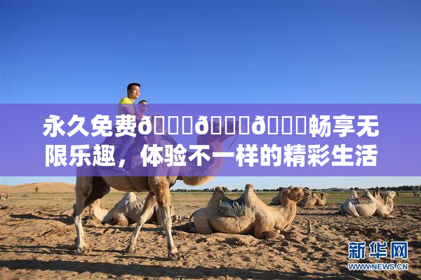 永久免费🔞🔞🔞畅享无限乐趣，体验不一样的精彩生活！