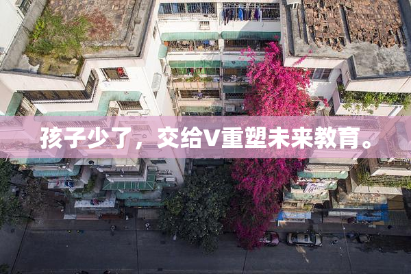 孩子少了，交给V重塑未来教育。