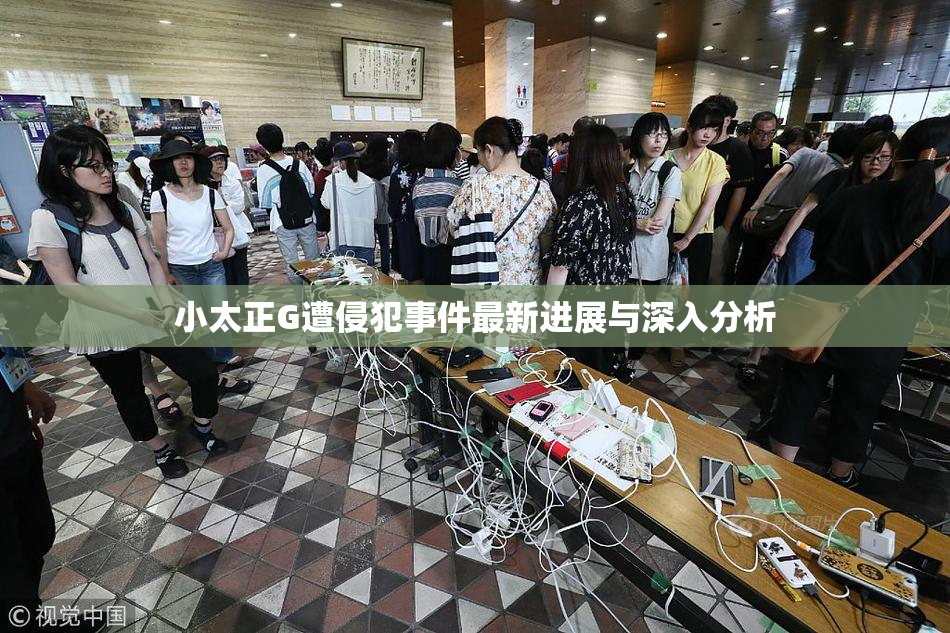 小太正G遭侵犯事件最新进展与深入分析