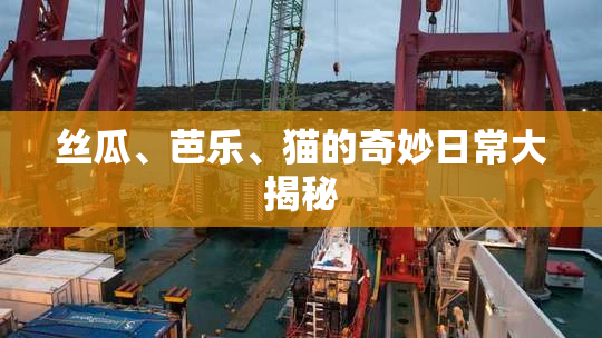 丝瓜、芭乐、猫的奇妙日常大揭秘