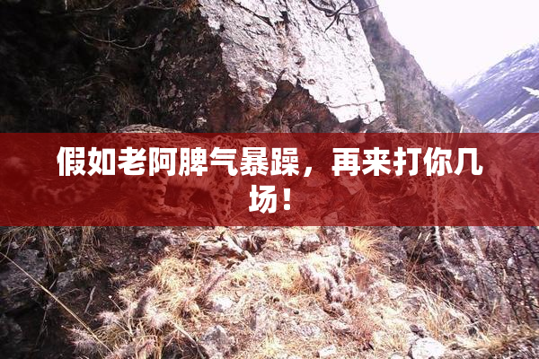 假如老阿脾气暴躁，再来打你几场！