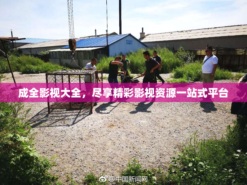 成全影视大全，尽享精彩影视资源一站式平台