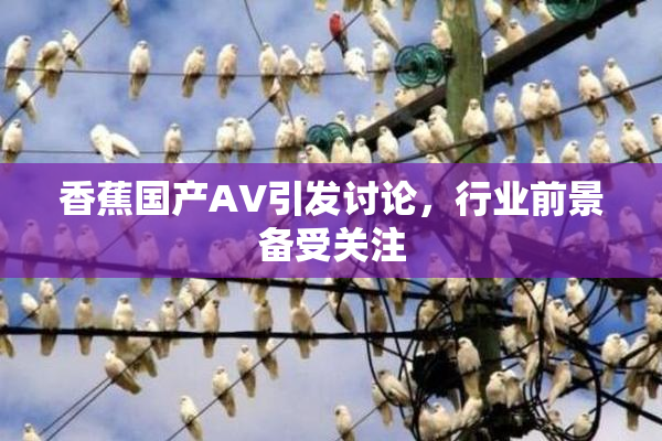 香蕉国产AV引发讨论，行业前景备受关注