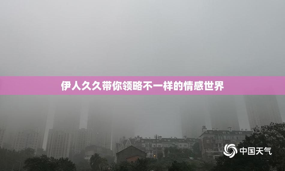 伊人久久带你领略不一样的情感世界