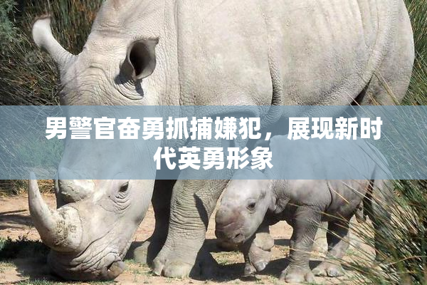 男警官奋勇抓捕嫌犯，展现新时代英勇形象