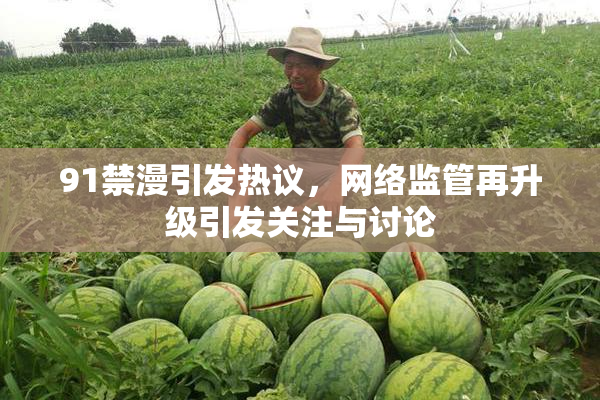 91禁漫引发热议，网络监管再升级引发关注与讨论