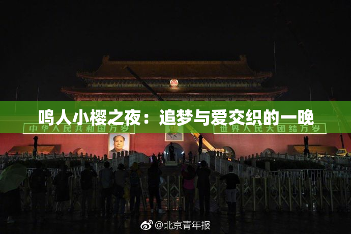 鸣人小樱之夜：追梦与爱交织的一晚